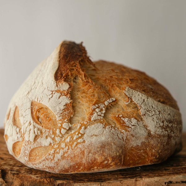 How understanding the complexities of a sourdough starter could expand a baker’s portfolio and benefit gluten intolerant consumers
